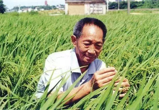 一日三餐，米香彌漫，飽食者當(dāng)憶袁公！