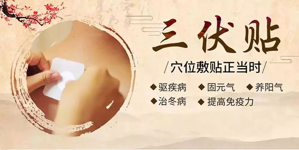 關(guān)于三伏貼，你了解多少呢？