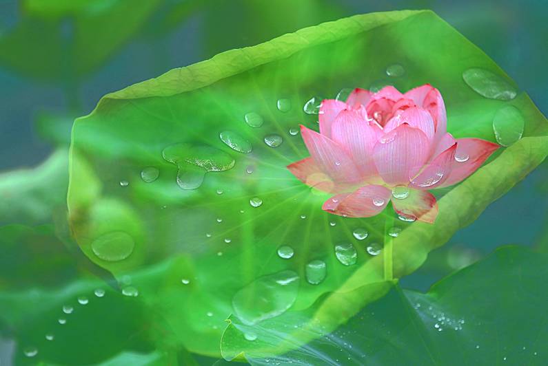 醫(yī)療器械網(wǎng)：失眠該怎么辦？